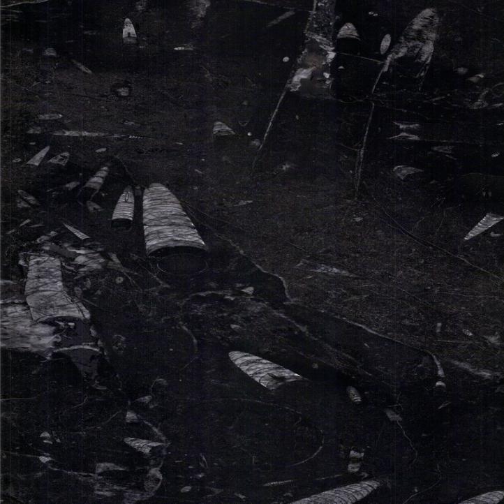 Best Brown marble slab construction material