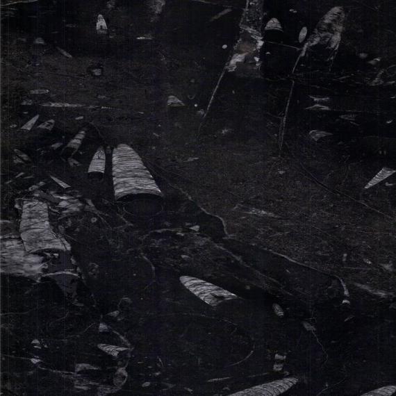 Лучший строительный материал из коричневых мраморных плит