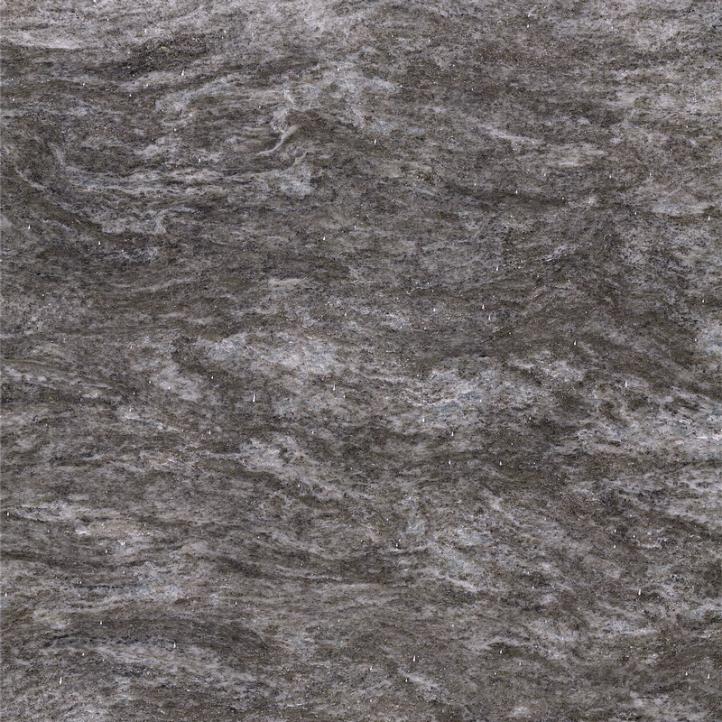 Шотландский серебристо-серый (2)