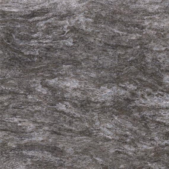 Шотландский серебристо-серый (2)