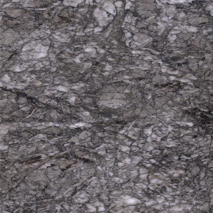 Дельфи серый