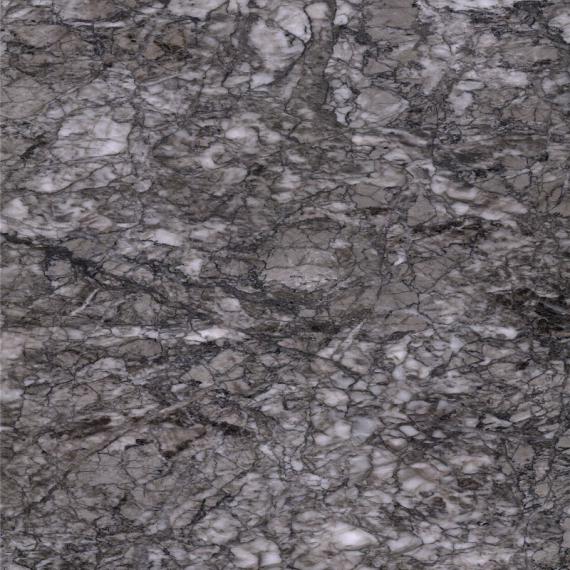 Дельфи серый