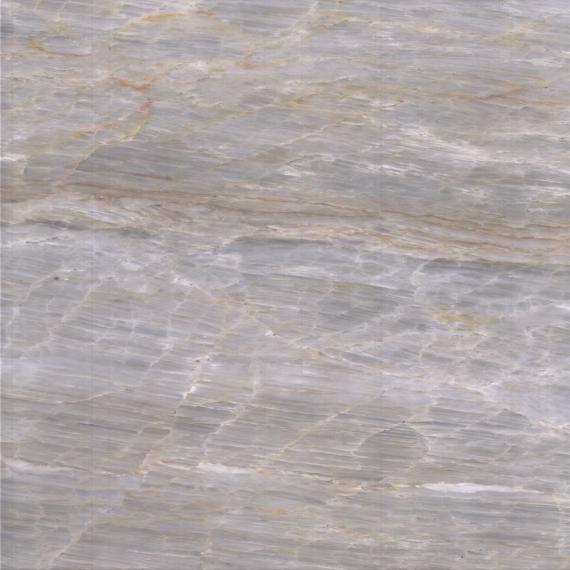 Хамелеон Фиолетовый