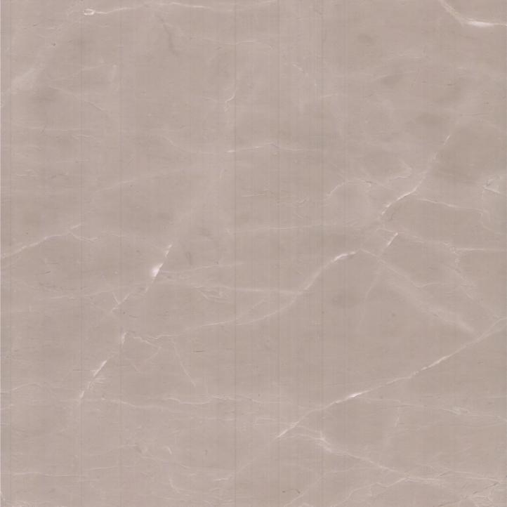 Роза Крема Шайана