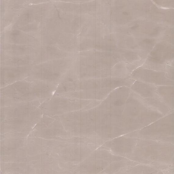 Роза Крема Шайана