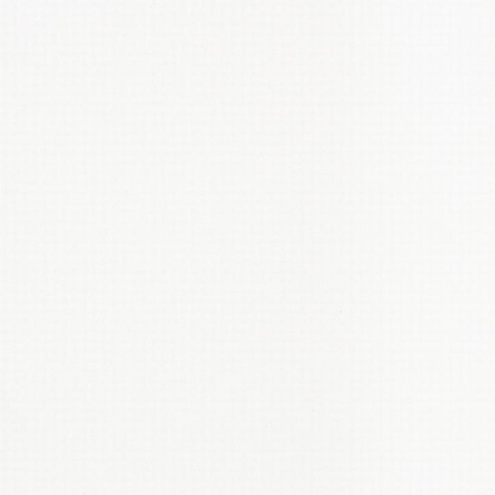 XPA1198-ТОП БЕЛЫЙ