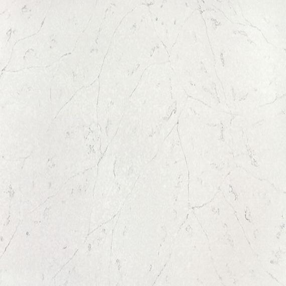 Кварц с окаменелым рисунком и текстурой