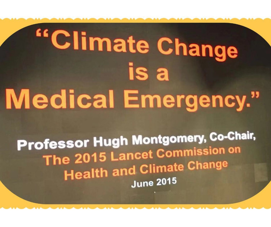 Наблюдения Анджелы. Климатическая реальность: проектирование с учётом меняющегося климата и сельского хозяйства, включая городское фермерство и современный архитектурный дизайн.